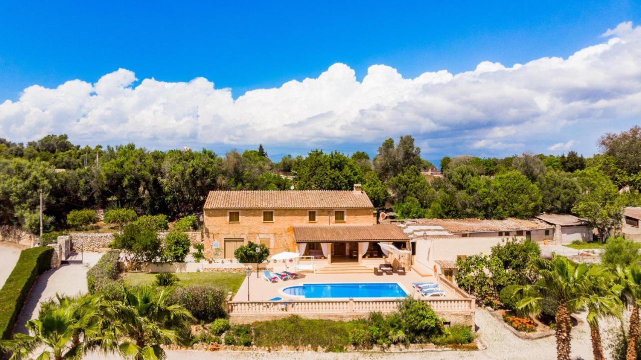 Bielo By Mallorca Selection